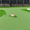 turf
