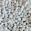 white polish 30-40mm
