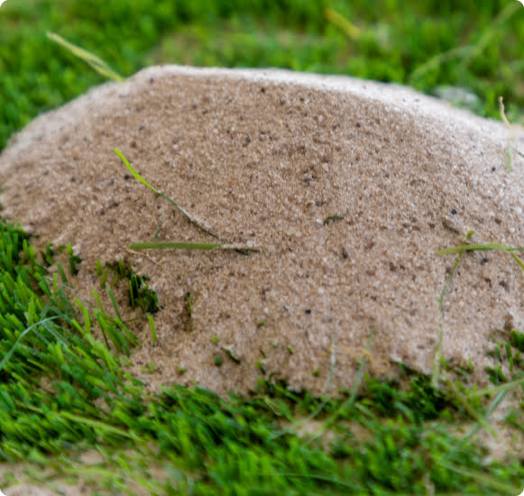 Silica Sand Supplier Silica Sand Supplier