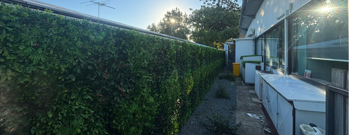 Artificial Hedge Gallery_after