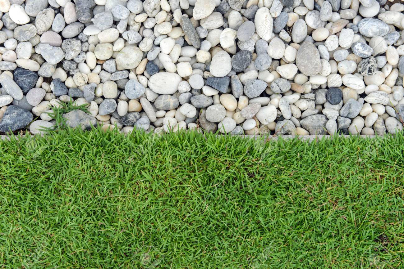 47071222-green-grass-with-pebbles-stone-and-grass-in-garden-grass-with-rock-pebble-with-grass-background-min
