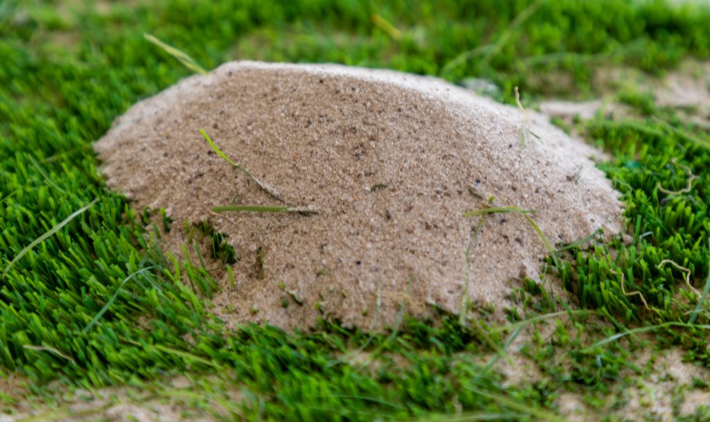 sand