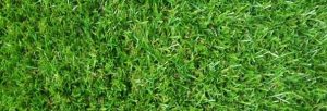 artificial turf Gold Coast