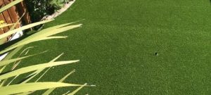 best artificial turf