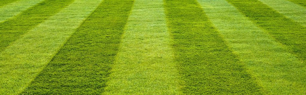 artificial turf suppliers Melbourne.