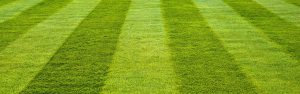 artificial turf suppliers Melbourne.