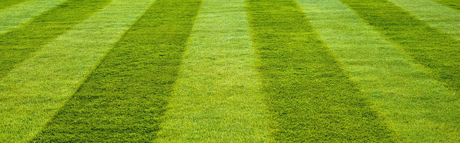 artificial turf suppliers Melbourne.