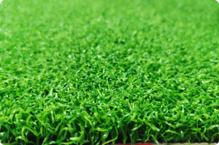Application of Artificial Grass Cheltenham