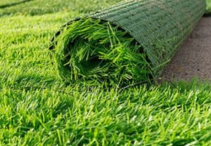 What Should I Do if My Artificial Grass Has Grown Old? | Auzzie Turf