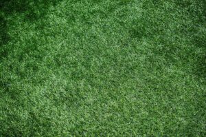 How to Maintain an Artificial Turf Green Forever | Auzzie Turf