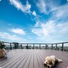 Walnut Co-Ex WPC Decking