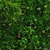 White Oasis Green Vertical Wall - Image 3