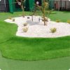 grass