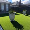 green-grass