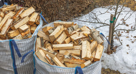 Firewood