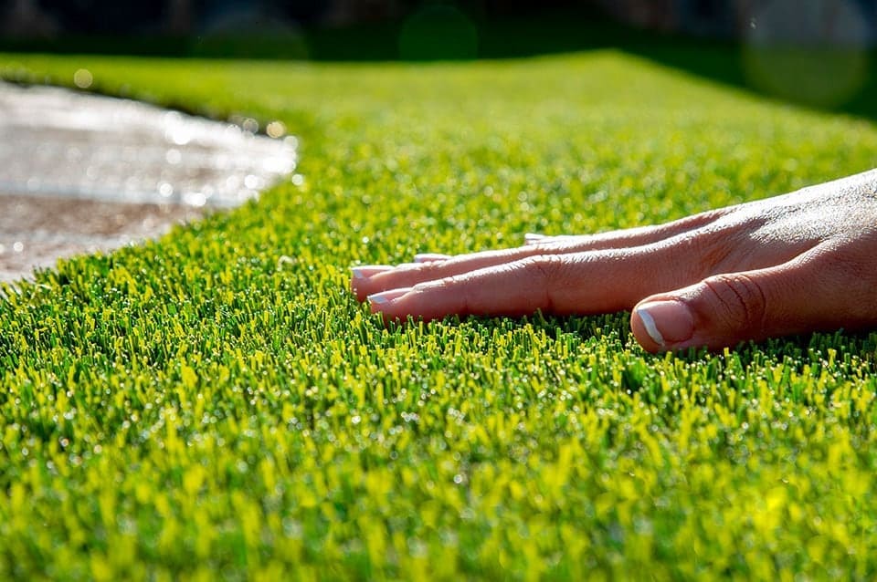 The_most_appropriate_artificial_grass The_most_appropriate_artificial_grass