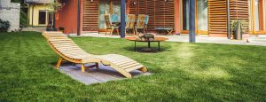 Artificial Grass Maintenance Tips Artificial Grass Maintenance Tips