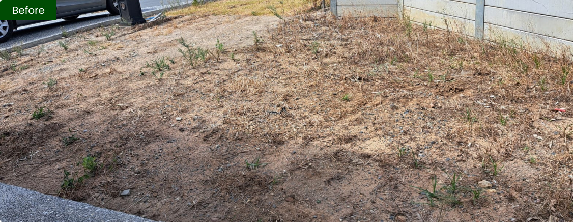 Artificial-grass-before.jpg