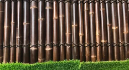 bamboo-1.jpg
