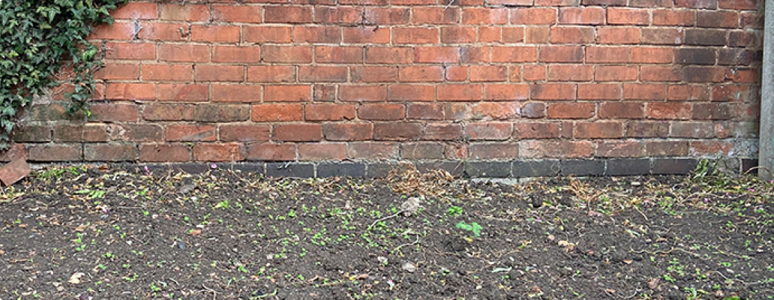 before-pebbles-1.jpg