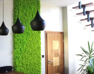 Interiors-Decoration.jpg
