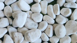White Polish 40-60mm