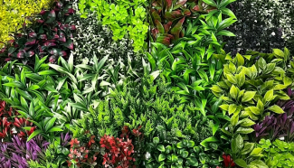 Colourburst Garden Vertical Wall - A018 img