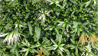 Fresh Oasis Vertical Wall - CCGF034 img