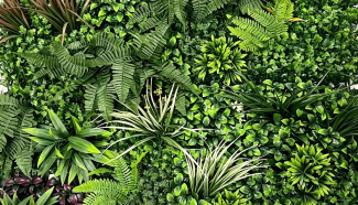 Jungle Canopy Vertical Wall - A024 img
