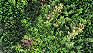 Lush Botanical Vertical Wall - CCGK001B img