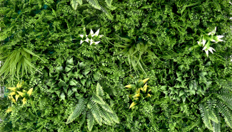Tropical Fern Vertical Wall - CCGA100 img