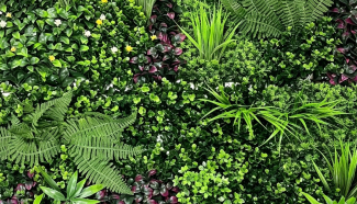 Woodland Fern Vertical Wall - A026 img